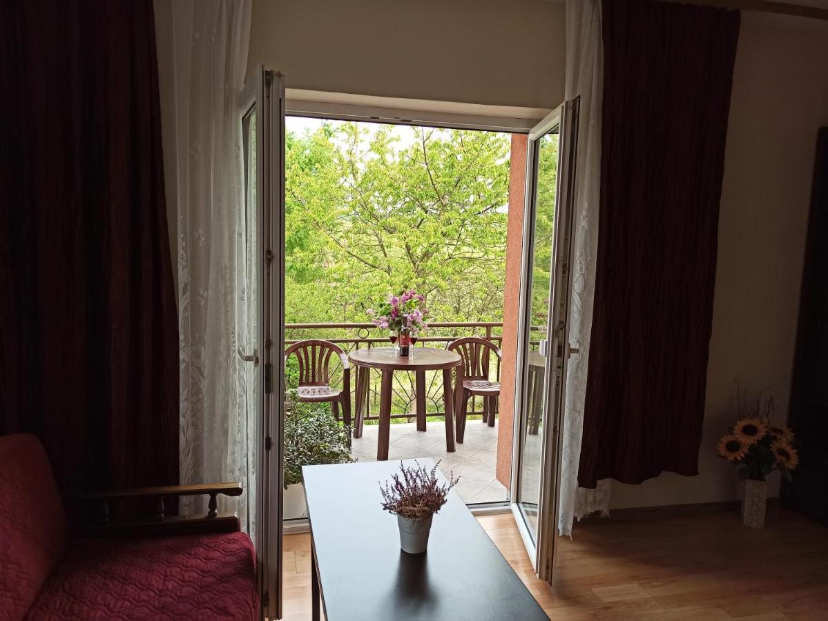 Apartament-Studio, Pokoje U Lucy Rabka-Zdrój Dış mekan fotoğraf