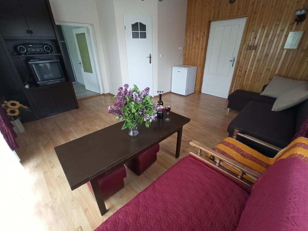 Apartament-Studio, Pokoje U Lucy Rabka-Zdrój Dış mekan fotoğraf